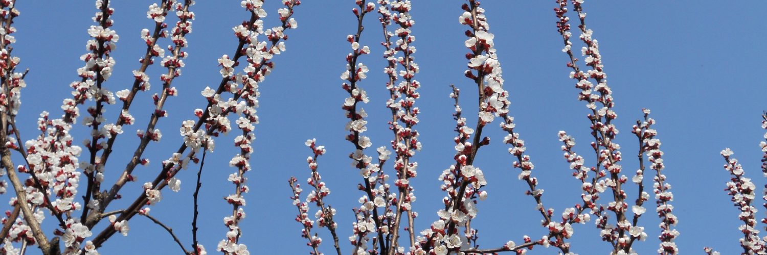 Magazine di Destinazione Umana