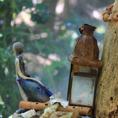 Una settimana nel bosco per liberare il tuo potere creativo e riconnetterti con la tua anima selvaggia