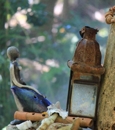 Una settimana nel bosco per liberare il tuo potere creativo e riconnetterti con la tua anima selvaggia