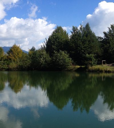 Come cambiare vita con la mindfulness: ce lo spiega Nicoletta Cinotti