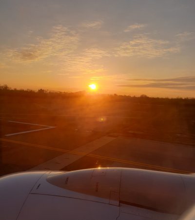 La lingua del coraggio