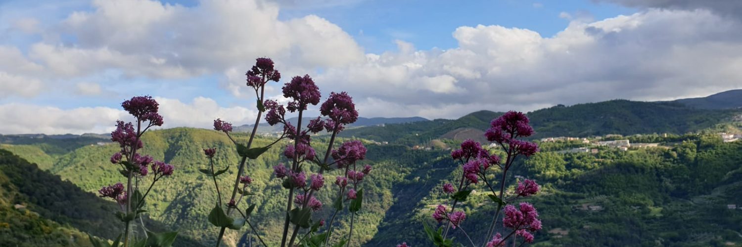 Magazine di Destinazione Umana