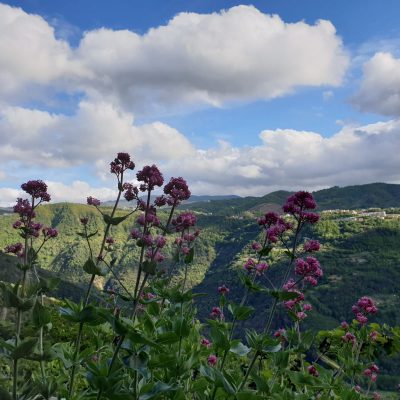 Picitti Stories, tempo presente