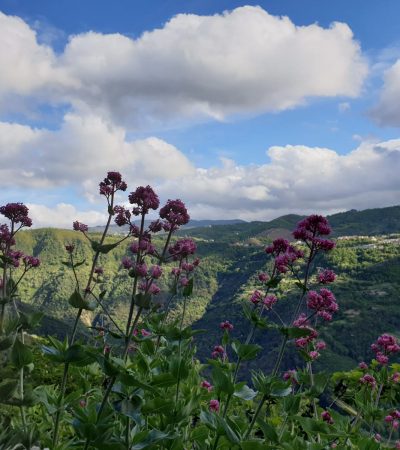 Picitti Stories, tempo presente