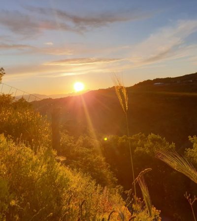 Riassuntone del 2019 in una parola: fiducia.