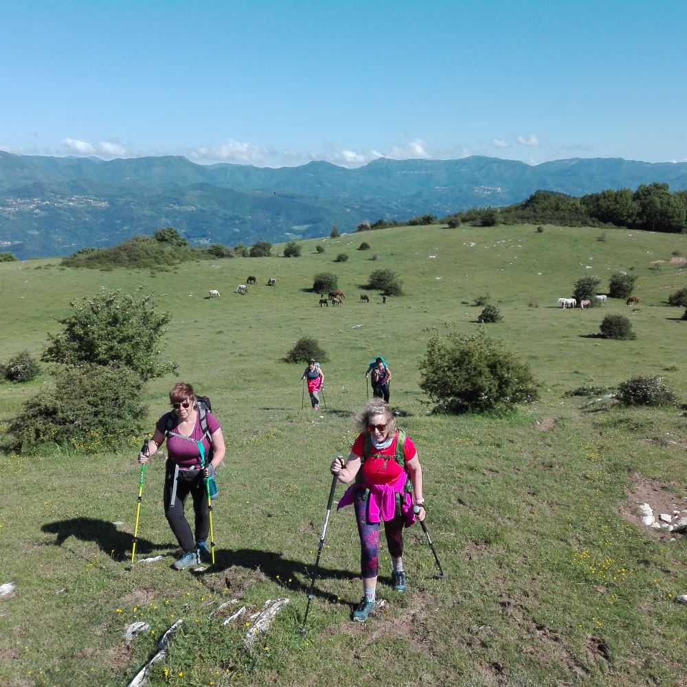 Programma di allenamento per camminare